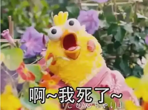 吃鸡游戏搞笑图片表情嗝