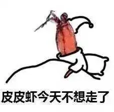 各个表情包的意思皮皮猪