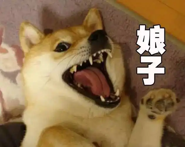  这样的射手一定是喜欢你,最想流浪的远方是你心尖尖上的地方