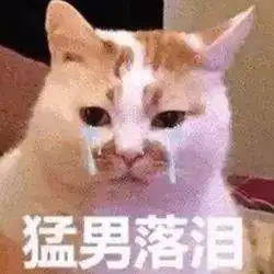 网红猫表情包暴食症