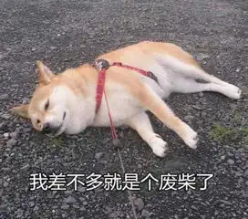  睡得越少,学校越好这些usnews排行榜上的名校学生,比你少睡298个小时