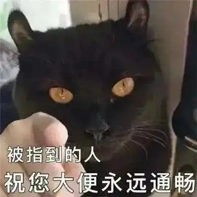  跟我斗这里可是china丨第410期喵表情包