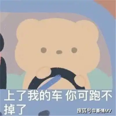  幼儿园老司机的表情包大全2021害羞又很可爱的表情图片