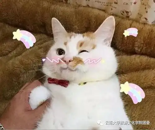  你好,我们是你身体里的细胞