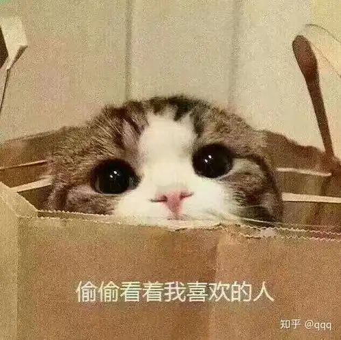  男朋友吃醋生气了怎么办