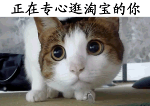 少女表情包gif蜜糖