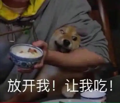 向往的表情