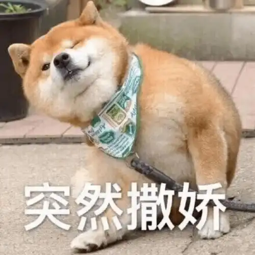  材难相遇梦筑建大我们在团总支等着你