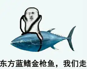  皮皮虾我们走,停你的驾照呢