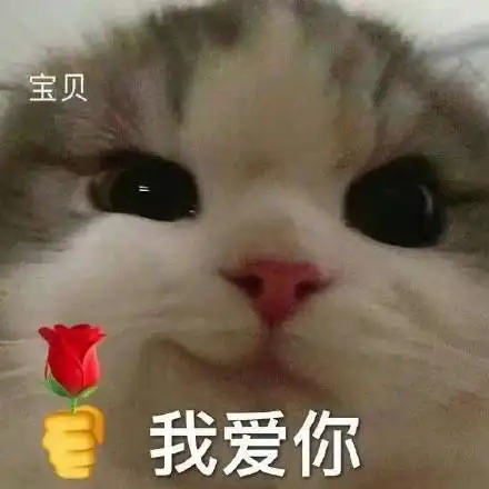  猫咪头拿玫瑰表情包