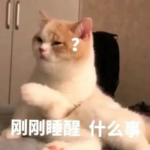  一大波猫咪表情包,总有一款适合你
