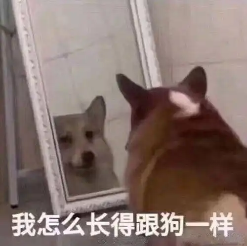  笑死我了
