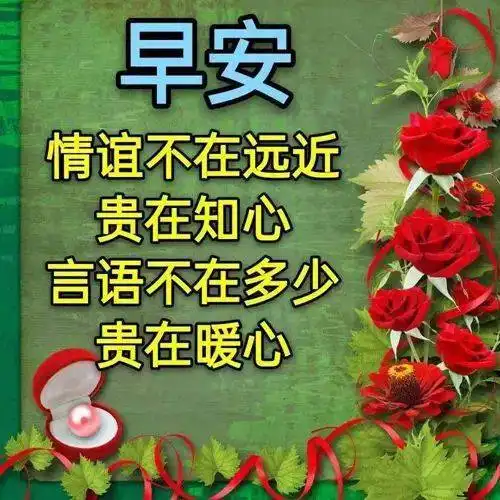 中老年早上好表情包