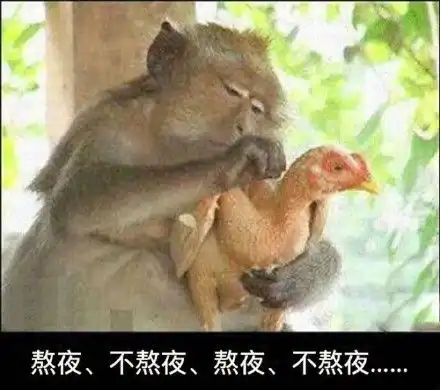 吃鸡游戏搞笑图片表情搞