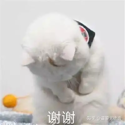  我对李宁被喷现状的看法