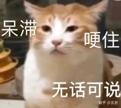  攻击各个圈子的粉丝,真的都是肖战的粉丝吗