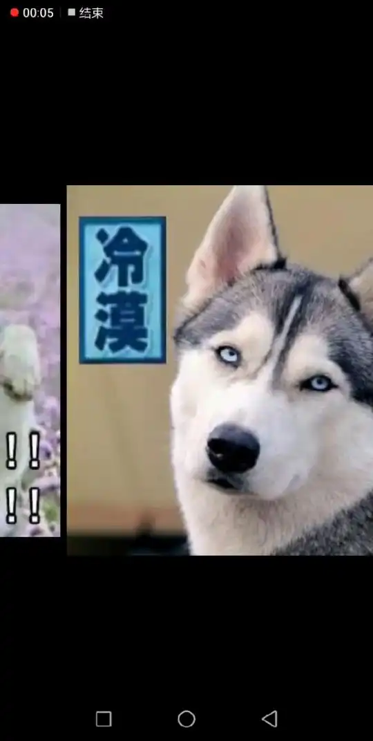  那些年,表情包的故事笑死我了