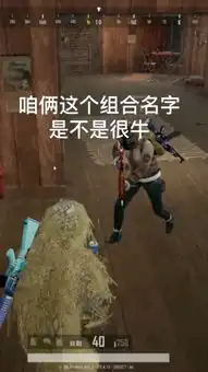  猪猪绝地求生搞笑吃鸡快手直播