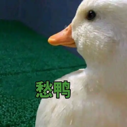  鸣鸿传白客,你当你是谁,还想让别人为你赌上下辈子