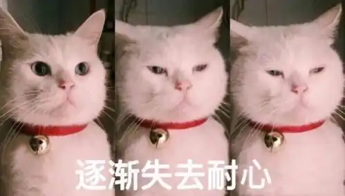  小学生体检查包皮,孩子私密部位出现了炎症,家长投诉了