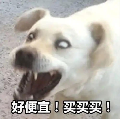 舔狗图片表情包茅海