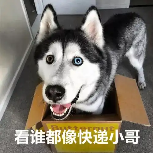 二哈指人表情包无水印