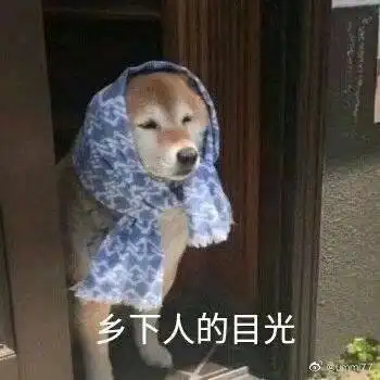 点点工作室表情包动图这