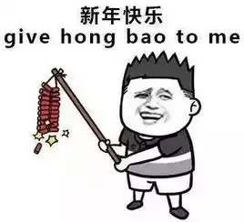  在湖口过个年要花多少钱算完哭了