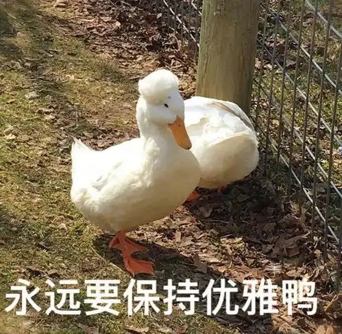  在寿县,你还记得那些老规矩吗