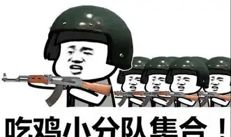  和平精英玩家最难以抉择的物资,它诱惑太强,老玩家也常犯错