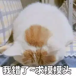  各种认错表情包集合我错了,我跪键盘行吗