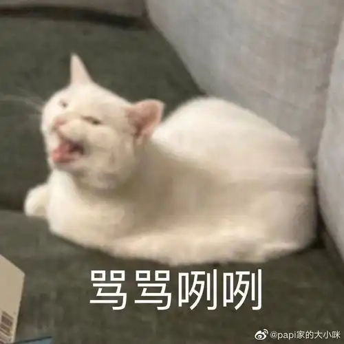  奇录