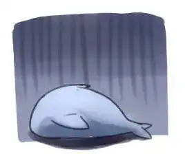  小鲨鱼小表情包不想努力呀