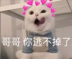  表情包合集