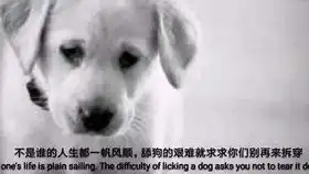  看守所比家里面好多了