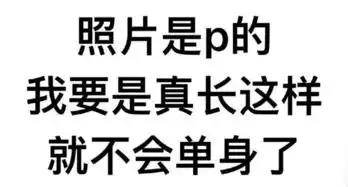 p表情包的文字宠物店