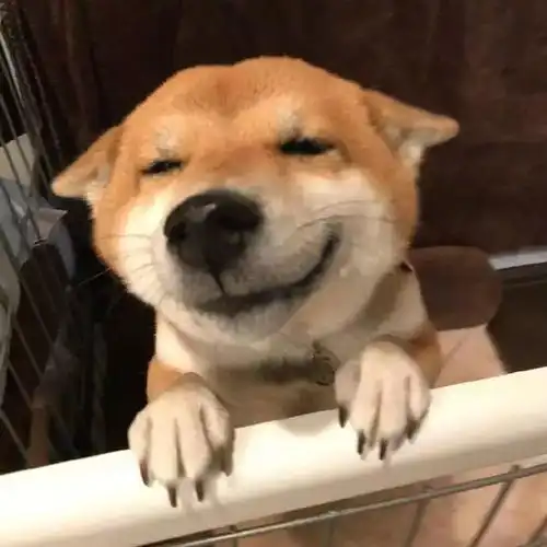  一定要让自己活得无可替代