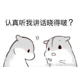 撒娇表情包图片仓鼠