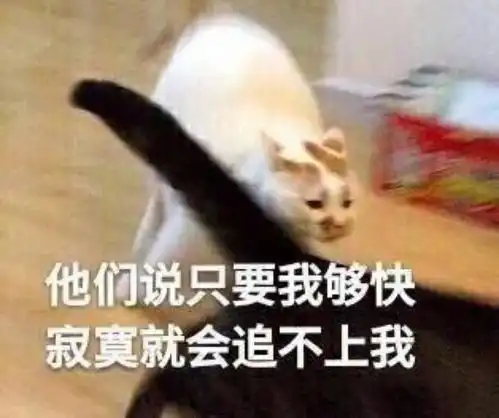  车主注意汽车这些配置真没必要买,别再傻傻的给4s送钱了