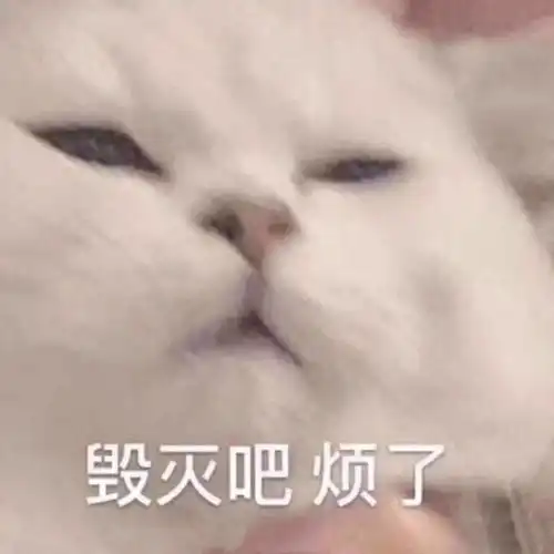 我崩溃了表情包05后