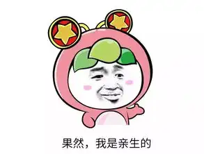 别说了表情包什么意思认