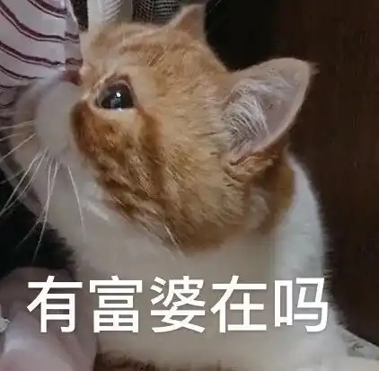  喵生艰难,我先去下个世界了......第99期喵表情