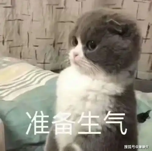  可爱表情包图片好奇,你准备生气的样子