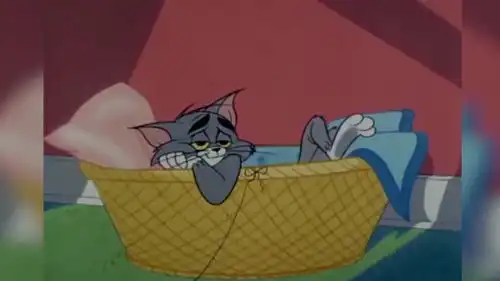  猫和老鼠家里来了只小猫,不但不吃老鼠,还和杰瑞相处愉快