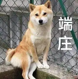  厦门红灯前急刹车,宝宝撞上前座椅差点脑外伤