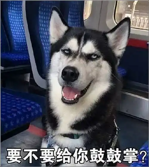  哈士奇遭主人抛弃,好心人觉得是拆家被丢弃,看清纸条后傻眼了