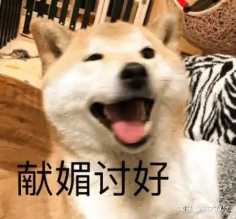  柴犬应该如何驯养相处