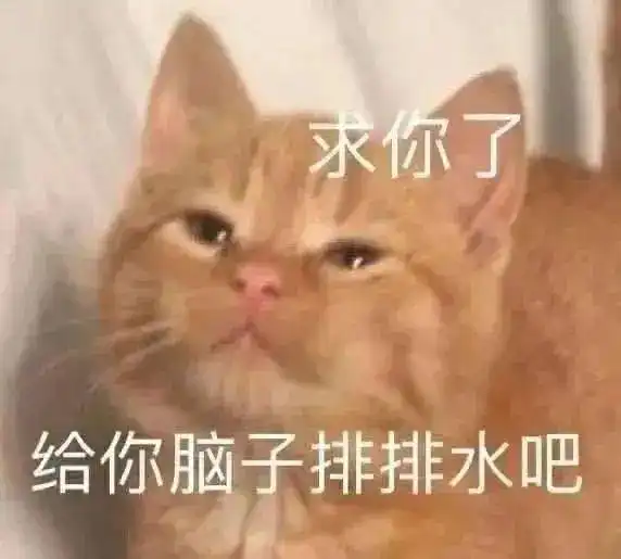  第68期喵表情内有69只萌猫,谨慎进入