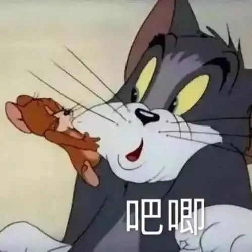 吃惊表情包图片大全猫和