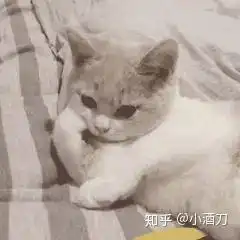  有什么好玩并且有趣的表情包自己快没有表情包了,想蹭一点儿,谢谢